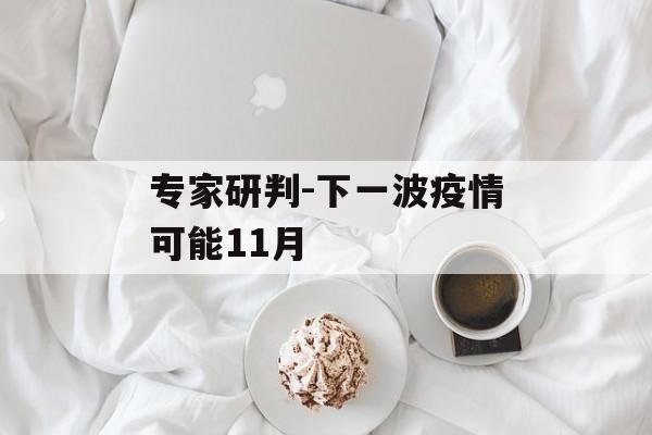 专家研判-下一波疫情可能11月