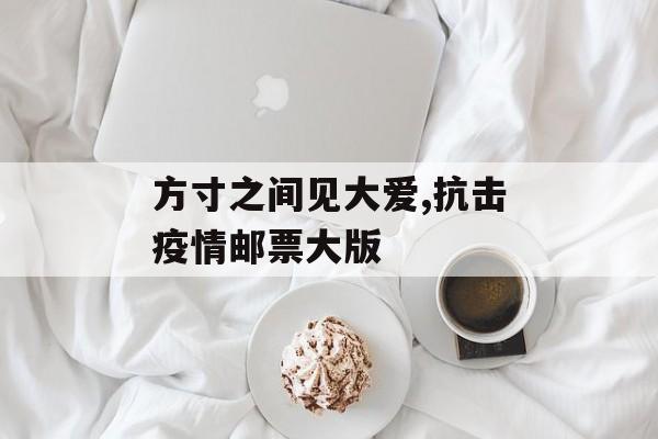 方寸之间见大爱,抗击疫情邮票大版