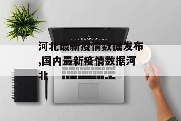 河北最新疫情数据发布,国内最新疫情数据河北